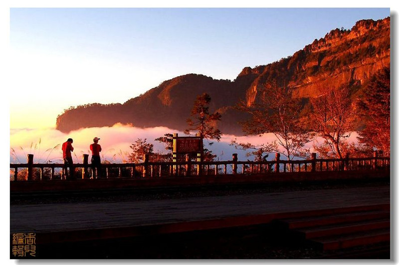 臺(tái)灣阿里山風(fēng)光攝影欣賞