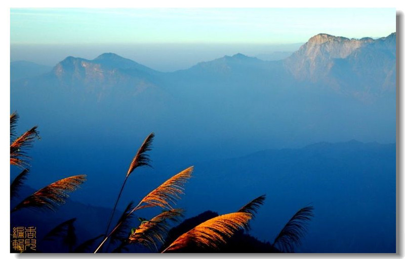 臺灣阿里山風(fēng)光攝影欣賞