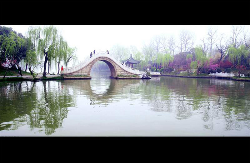 揚州三月河岸春色攝影