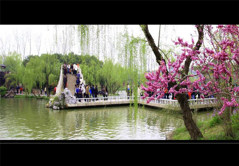 揚州三月河岸春色攝影