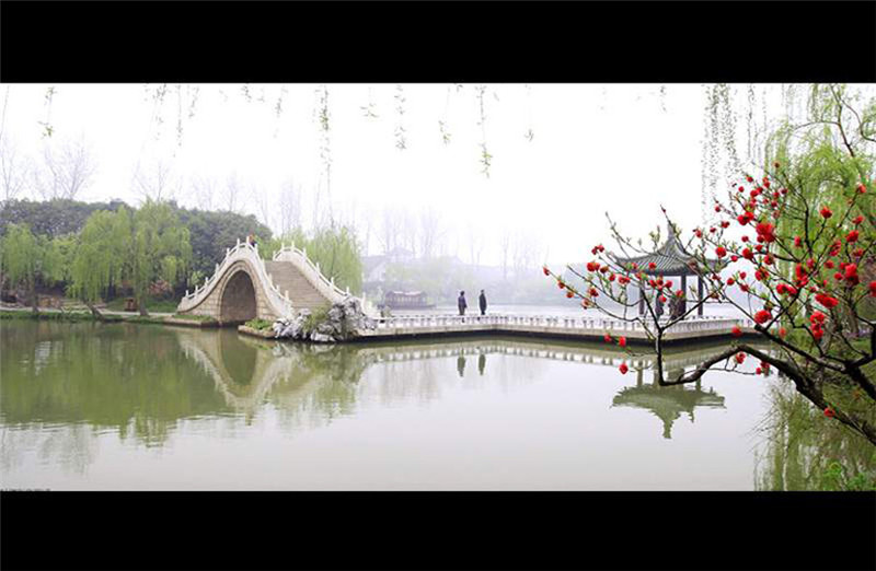 揚州三月河岸春色攝影