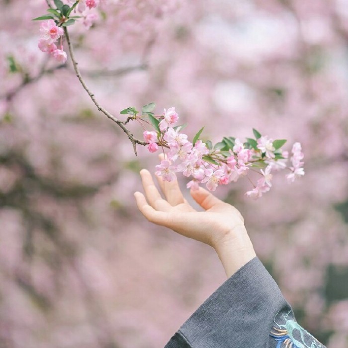 玉手撫枝古風(fēng)頭像，唯美女子纖手頭像