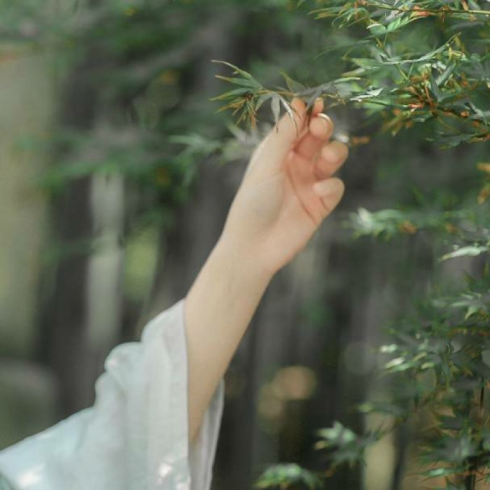 玉手撫枝古風(fēng)頭像，唯美女子纖手頭像