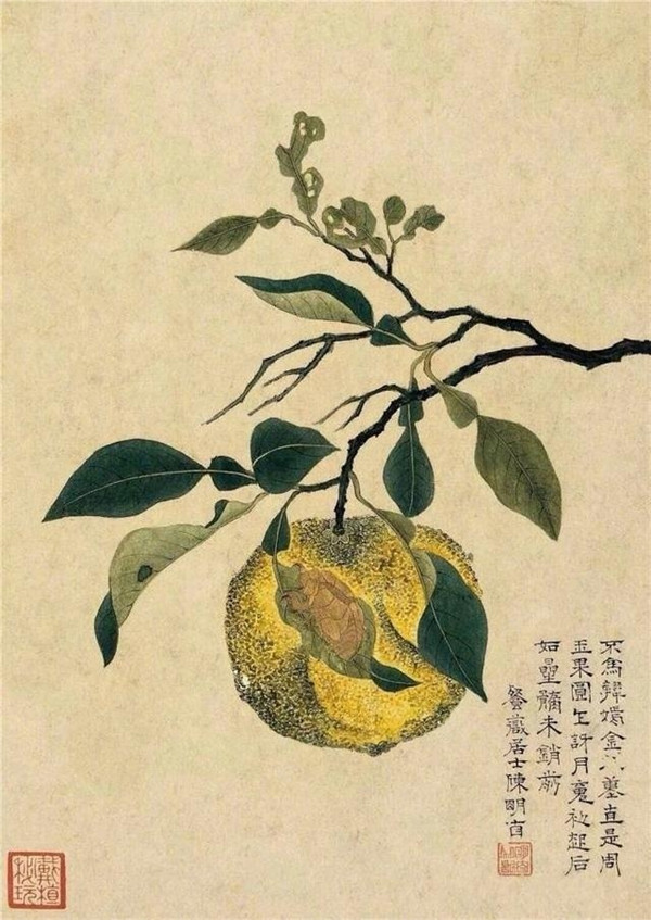 明清時(shí)代畫(huà)家陳明自繪畫(huà)的花卉動(dòng)物