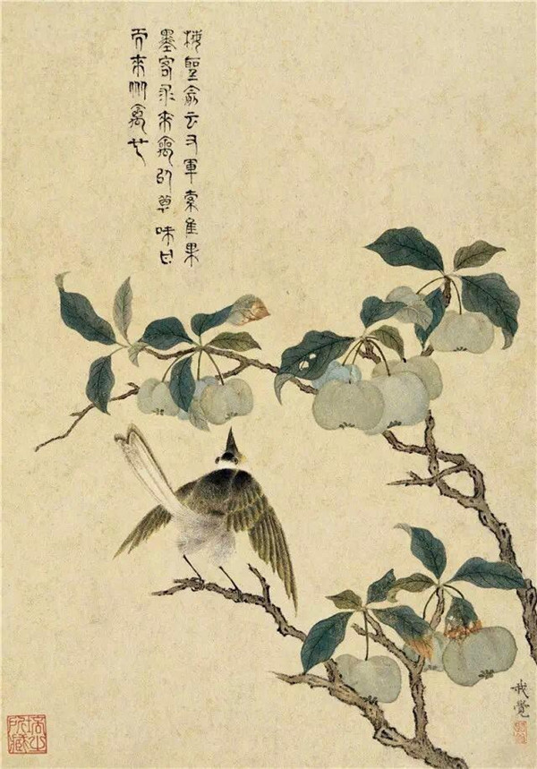 明清時(shí)代畫(huà)家陳明自繪畫(huà)的花卉動(dòng)物