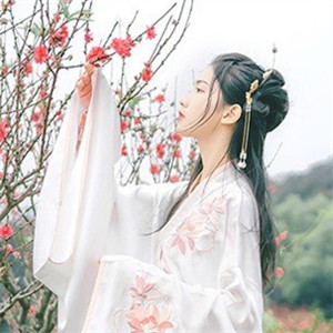輕盈溫婉的古風(fēng)女子頭像，中國古典風(fēng)格qq頭像