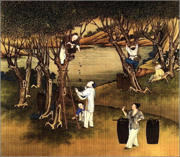 中國(guó)24節(jié)氣古畫(huà)圖，超美國(guó)畫(huà)插畫(huà)欣賞