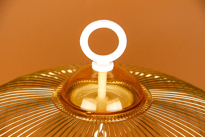 鸚鵡金屬裝飾觀賞鳥(niǎo)籠