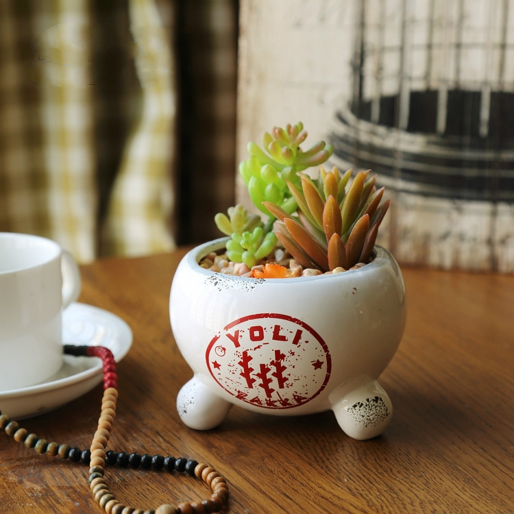 田園風(fēng)格盆景，綠意盎然盆景圖片