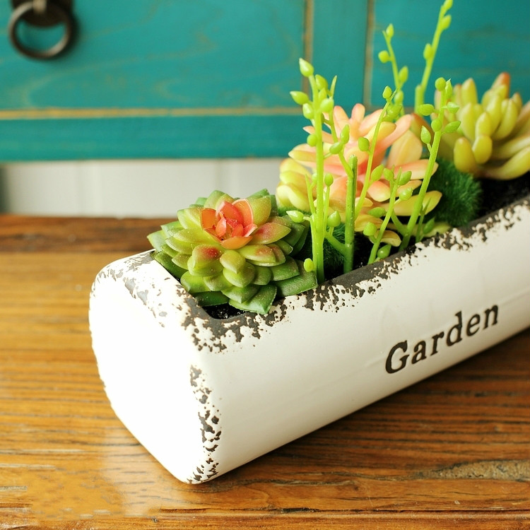 田園風(fēng)格盆景，綠意盎然盆景圖片