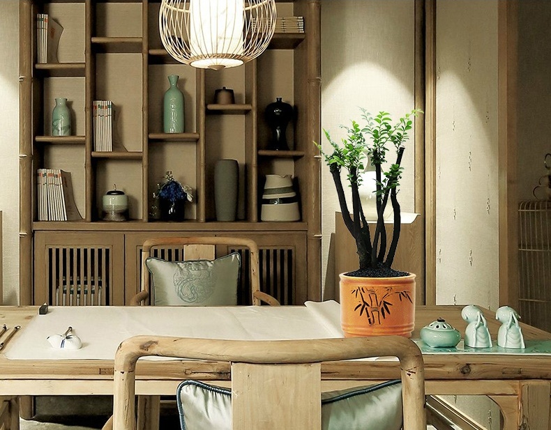 小葉紫檀盆景，黑骨茶樣式盆景圖片