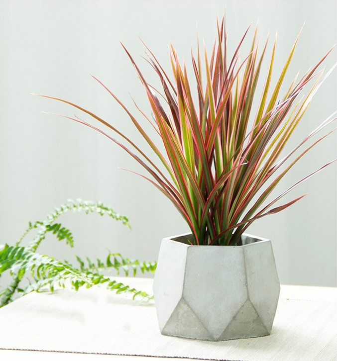 簡約水泥盆景，創(chuàng)意時尚盆景圖片