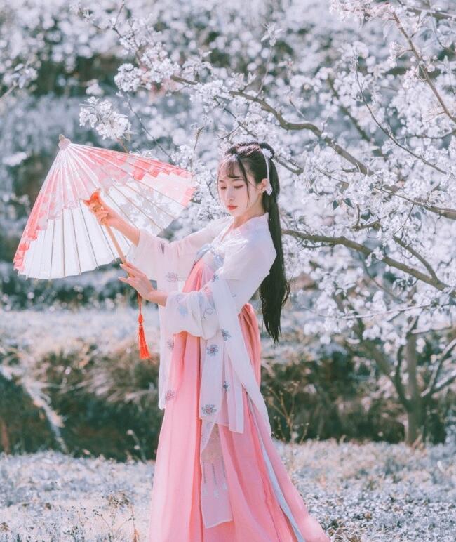 刺繡對襟齊胸襦裙，清新淡雅漢服