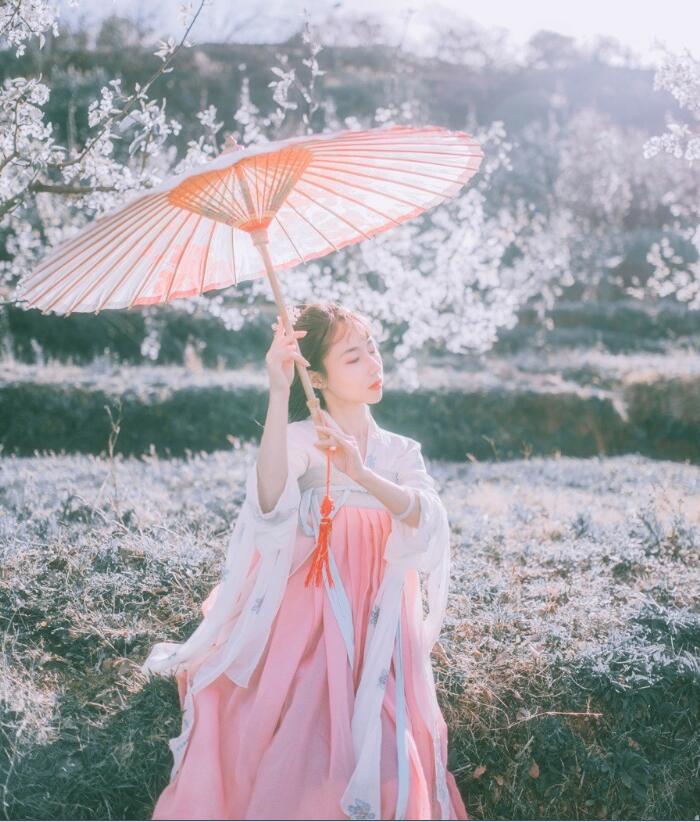 刺繡對襟齊胸襦裙，清新淡雅漢服