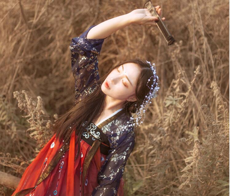 傳統(tǒng)齊胸襦裙，錦繡燙金刺繡漢服圖片