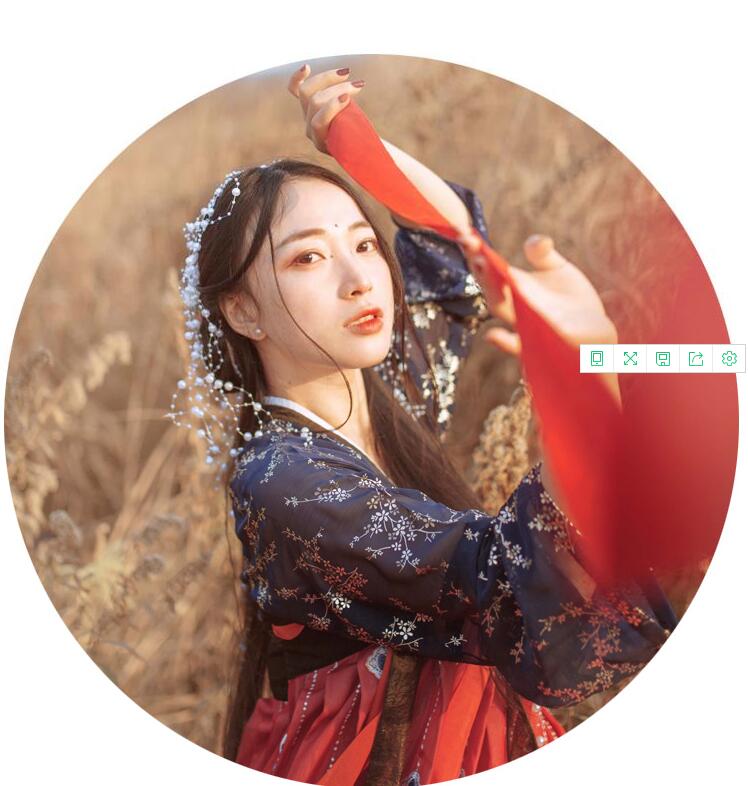 傳統(tǒng)齊胸襦裙，錦繡燙金刺繡漢服圖片