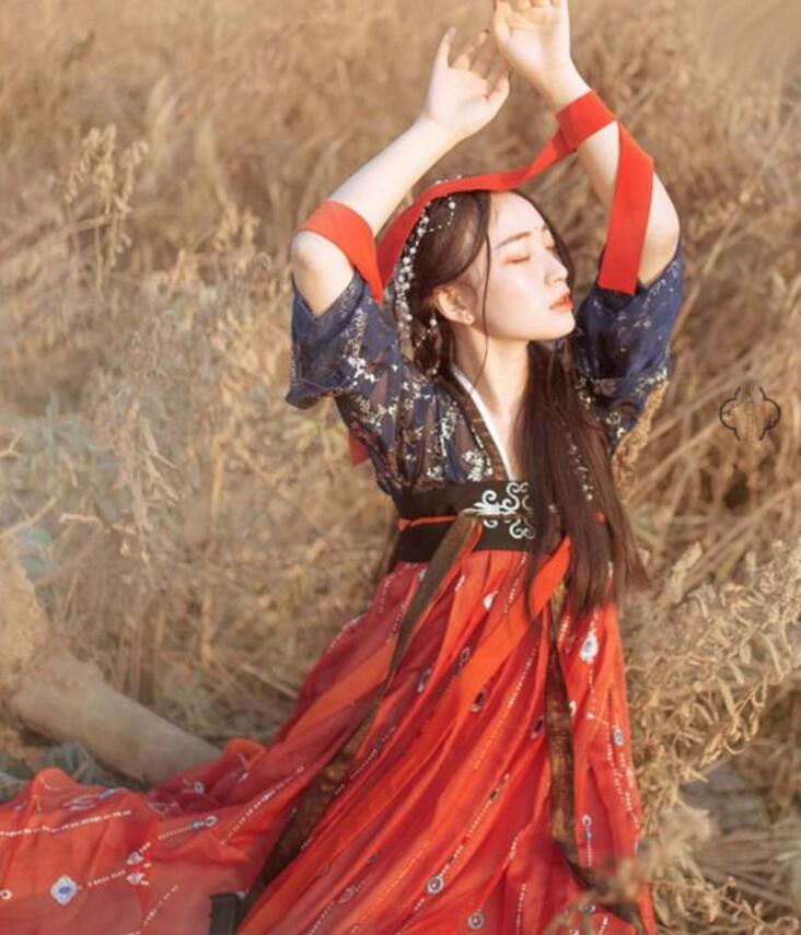 傳統(tǒng)齊胸襦裙，錦繡燙金刺繡漢服圖片