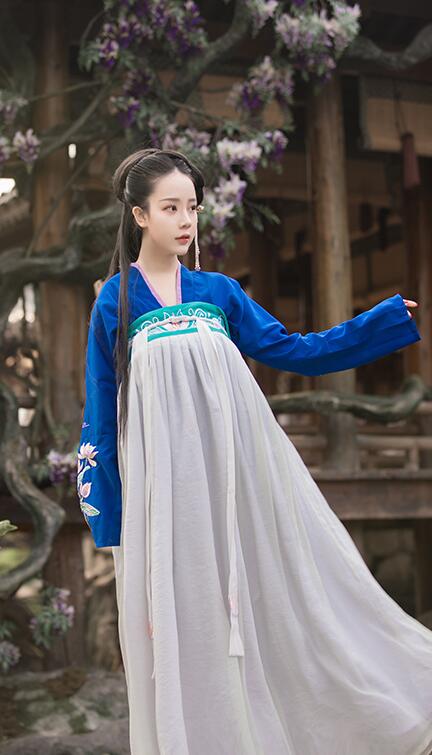 漢服荷花刺繡清新古裝，錦絲皺齊胸襦裙?jié)h服