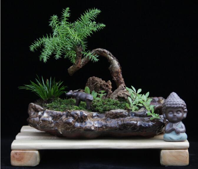 高檔水石藝術(shù)組合，綠植微景觀旱盆盆景