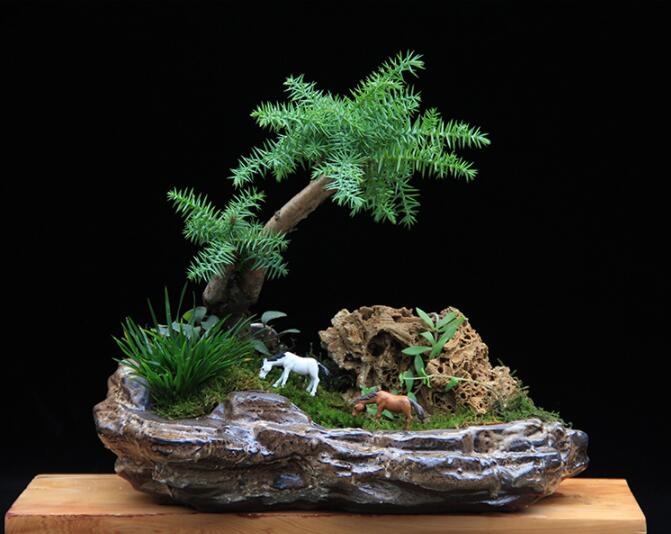 高檔水石藝術(shù)組合，綠植微景觀旱盆盆景