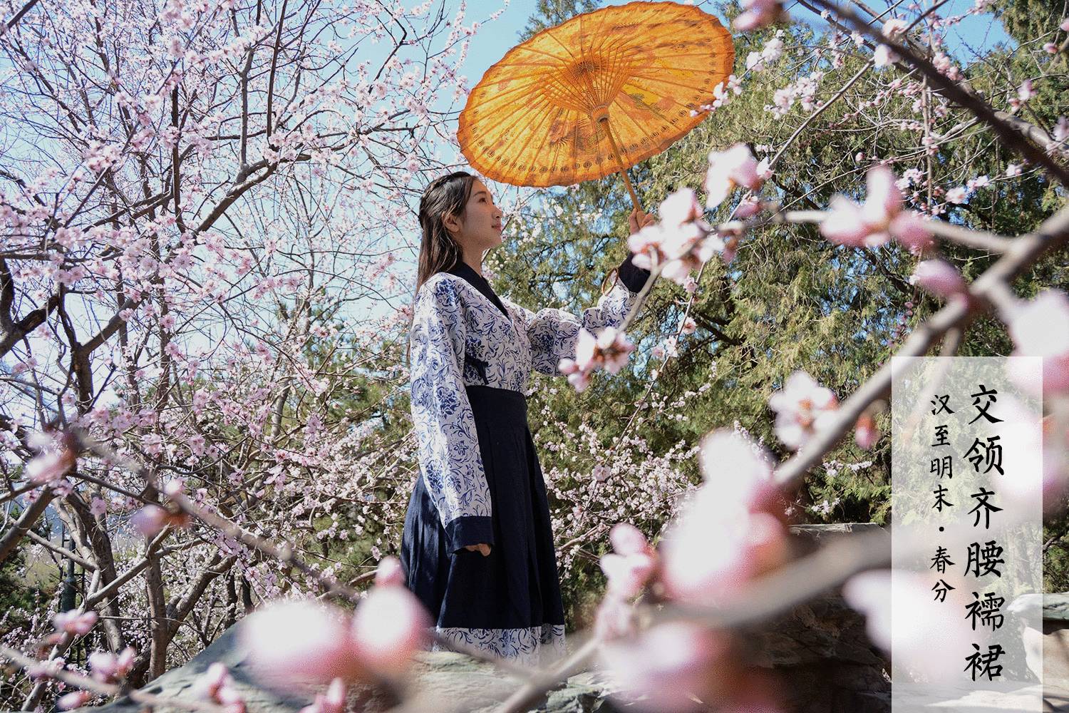 改良漢服，古風交領(lǐng)清新淡雅齊胸襦裙