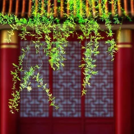 雄峙數(shù)千年的古建筑，歷史古建筑風(fēng)情萬(wàn)種！