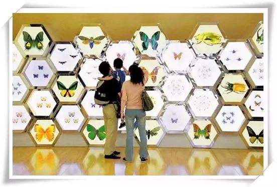 適合孩子的博物館推薦，探索世界奧秘！