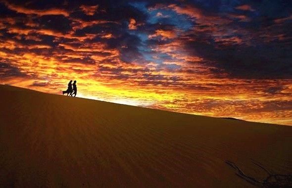 十條最適合自駕出游的福連文苑景公路，一路美景