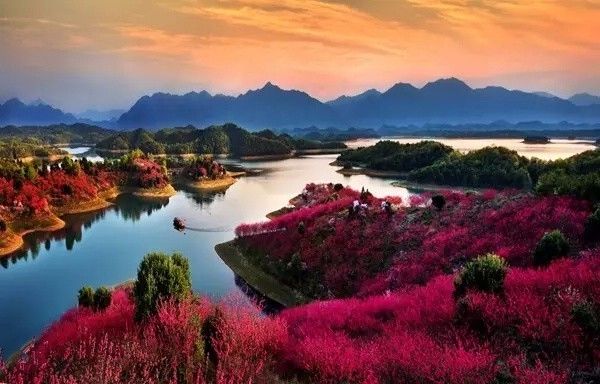 十條最適合自駕出游的福連文苑景公路，一路美景