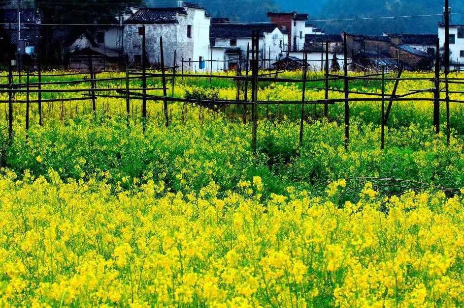 夢回西江，南昌，廬山，婺源