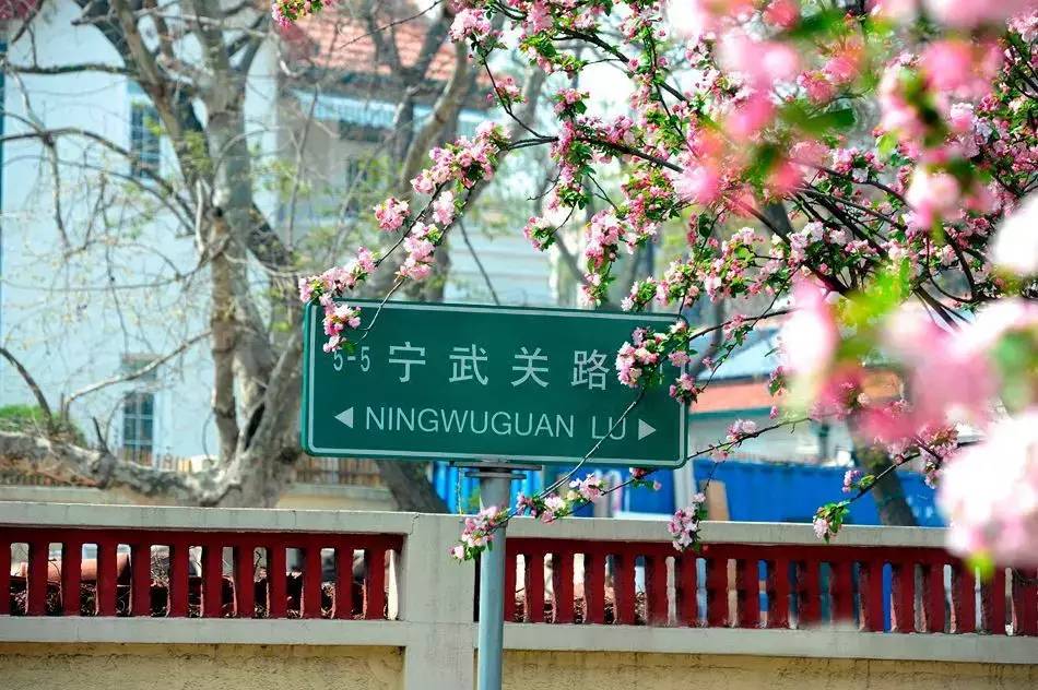 清明小長假，去這9個(gè)絕美的地方踏青