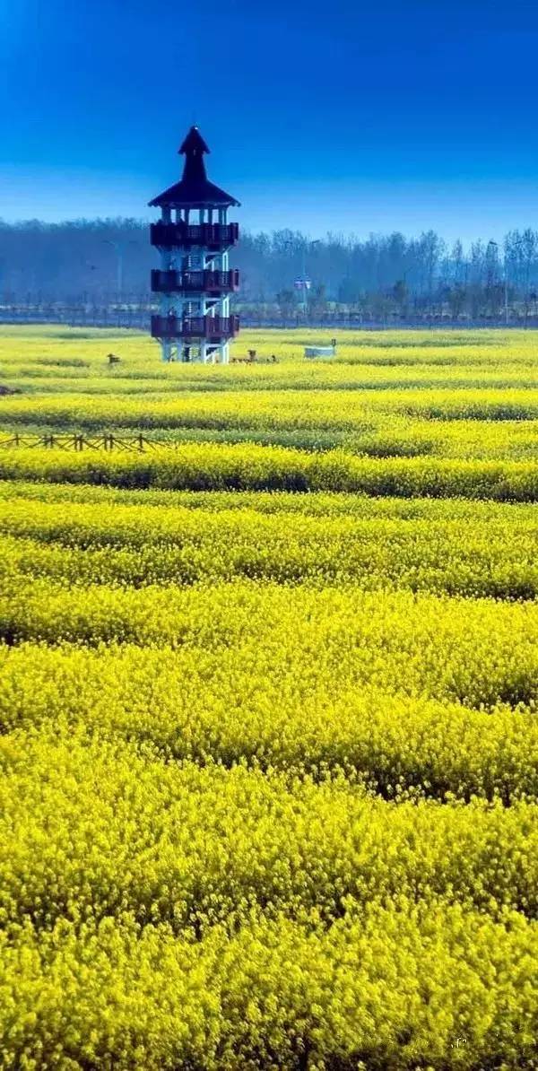 清明小長假，去這9個(gè)絕美的地方踏青