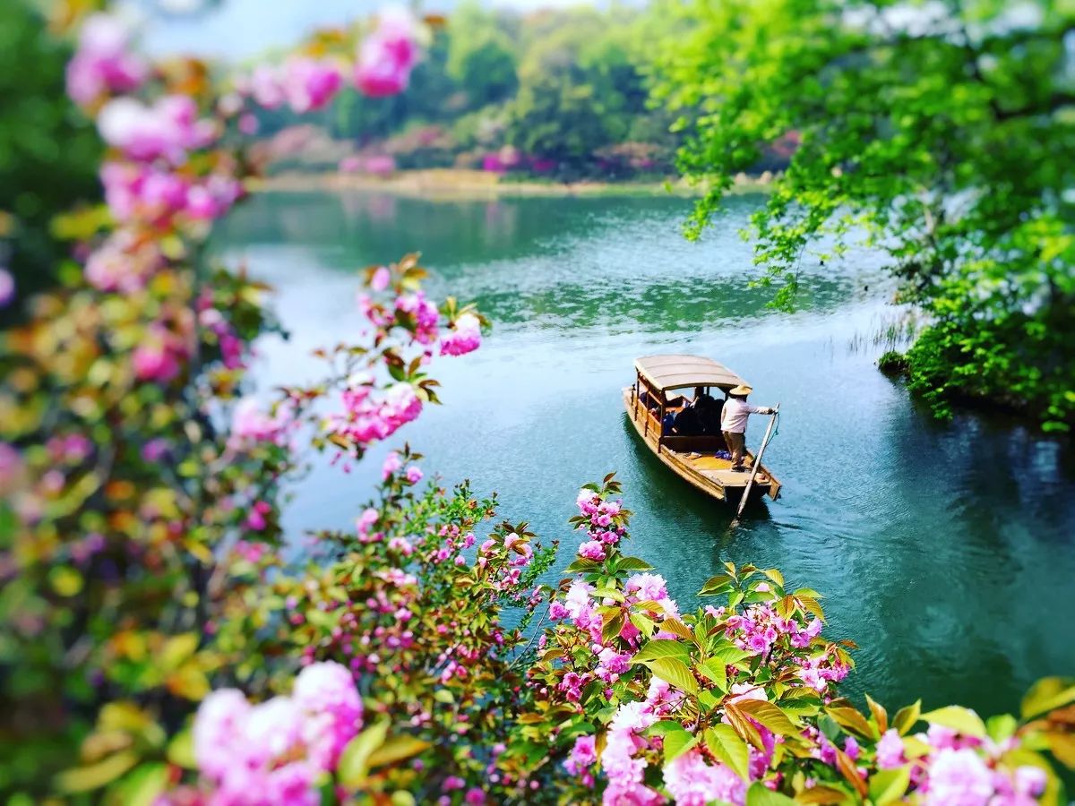 清明小長假，去這9個絕美的地方踏青