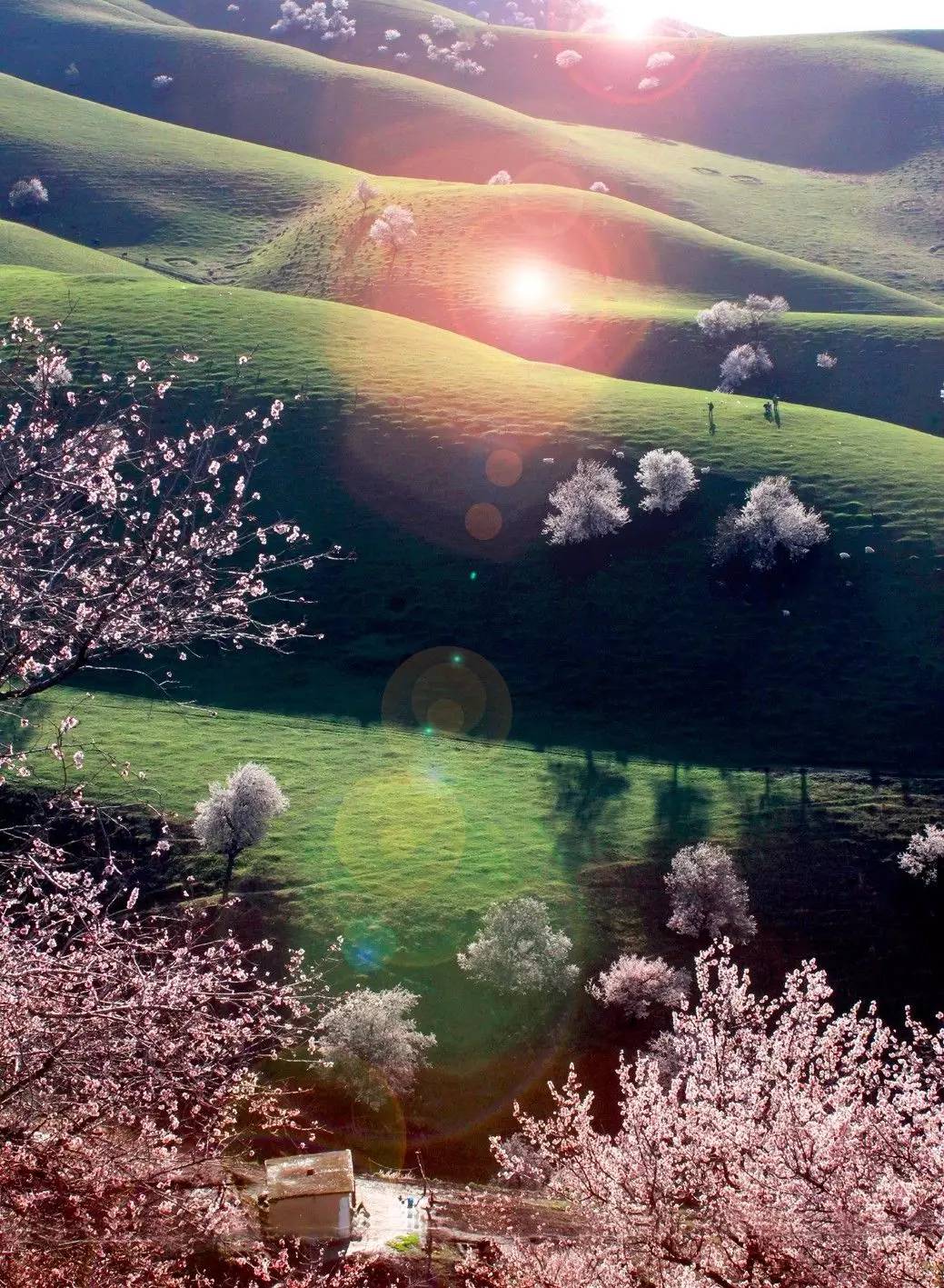 清明小長假，去這9個絕美的地方踏青