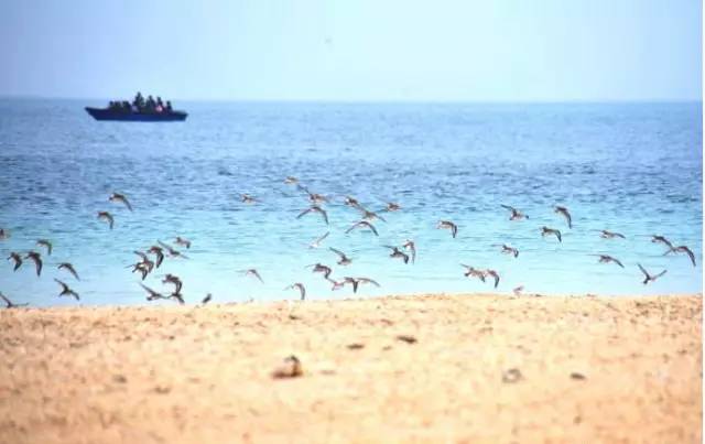 清明小長假，去這9個絕美的地方踏青