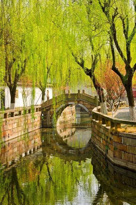 清明小長假，去這9個絕美的地方踏青