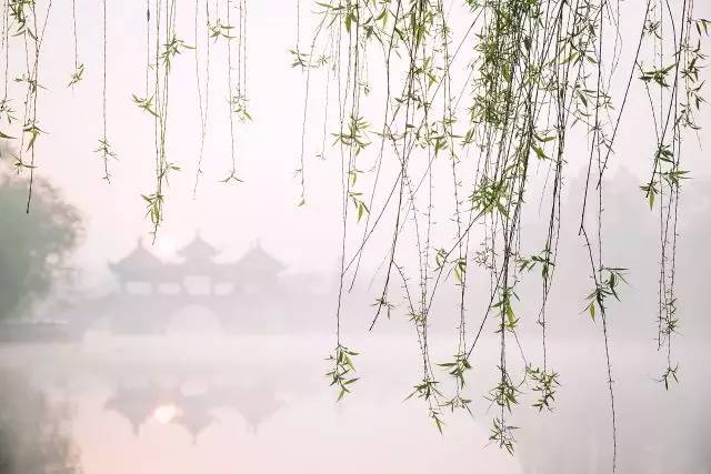 清明小長假，去這9個絕美的地方踏青