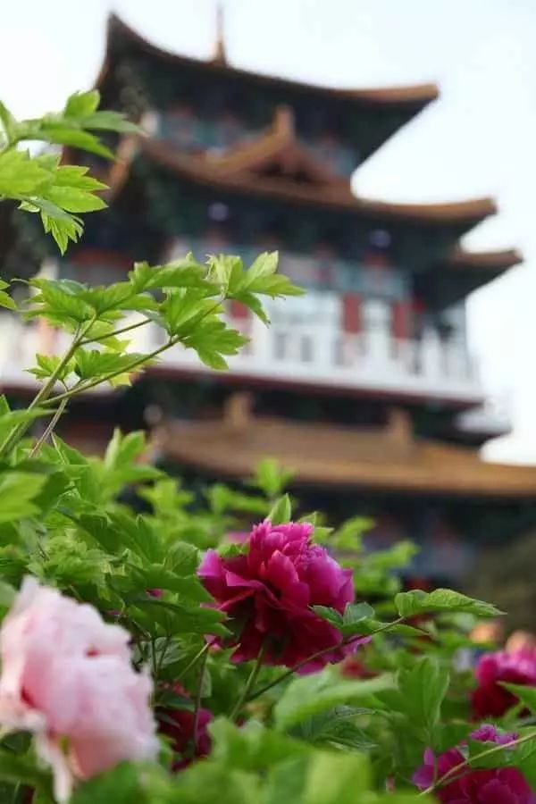 清明小長(zhǎng)假，去這9個(gè)絕美的地方踏青