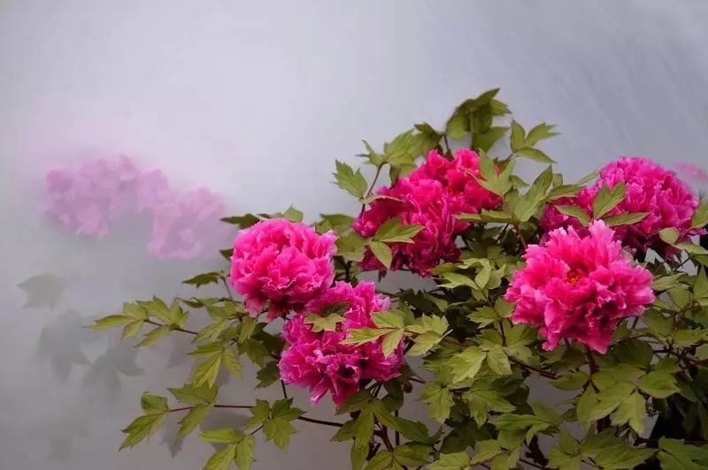 清明小長(zhǎng)假，去這9個(gè)絕美的地方踏青