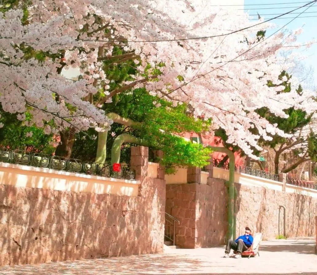 清明小長假，去這9個(gè)絕美的地方踏青