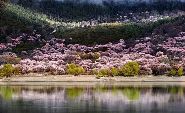 踏青尋色，春風(fēng)十里不如你