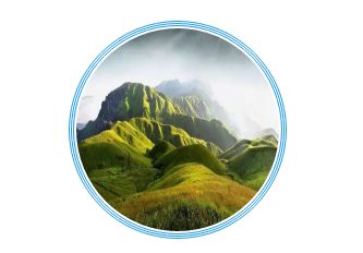 踏青尋色：春光無(wú)限好，只為等待一個(gè)你