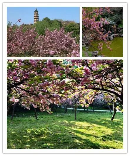 唯美風(fēng)景圖片，踏青游玩美翻天！