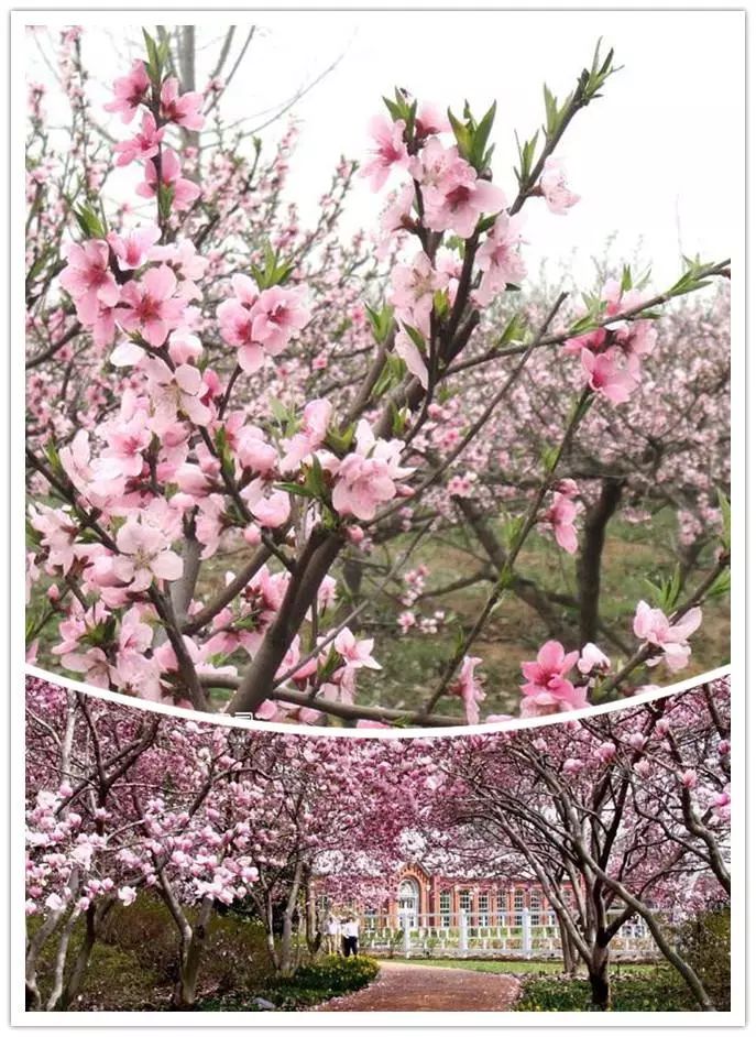 唯美風(fēng)景圖片，踏青游玩美翻天！