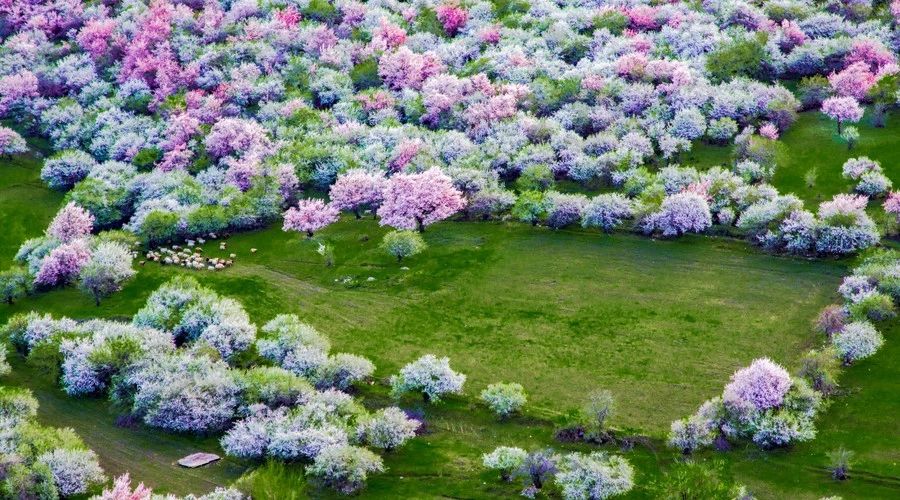 最美人間四月，詩情畫意不可錯(cuò)失的風(fēng)景推薦