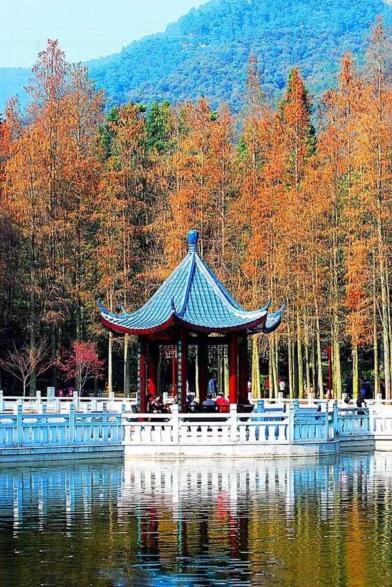 中國最美古建筑，你都認(rèn)識(shí)嗎？