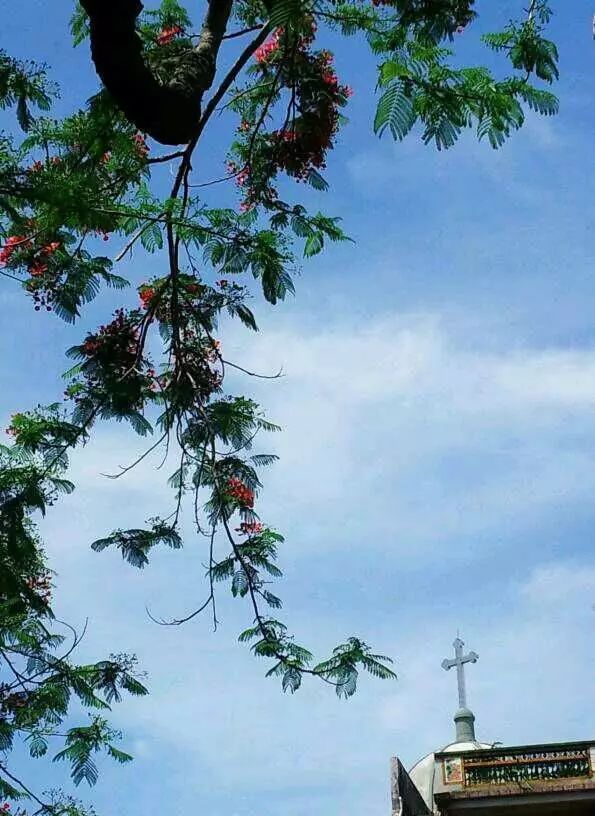 棉湖掠影， 古鎮(zhèn)情懷