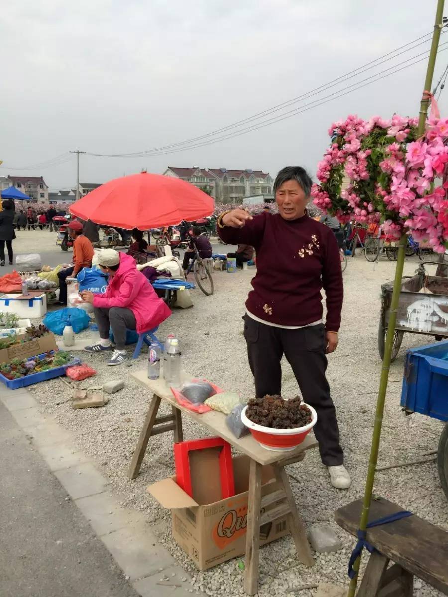 古鎮(zhèn)之外的新場，或許更有新意