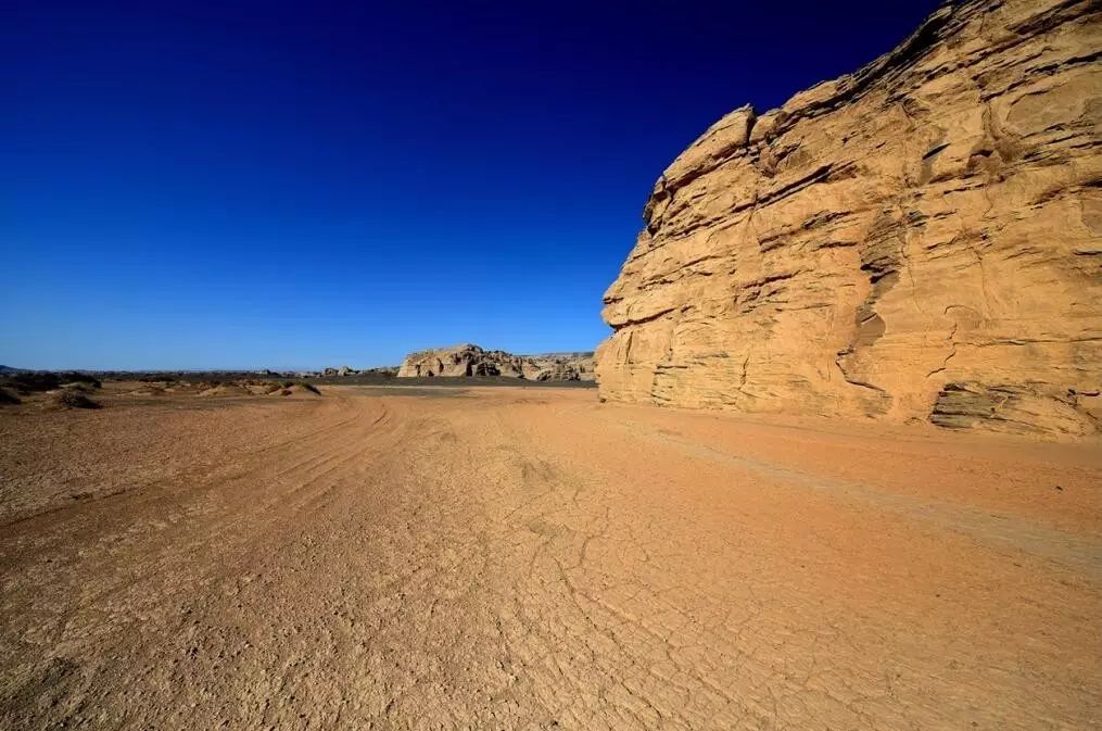 雕塑之魂：從干裂的土地上，尋找生命的意義