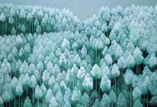 風(fēng)景即心境，東山魁夷筆下的四季